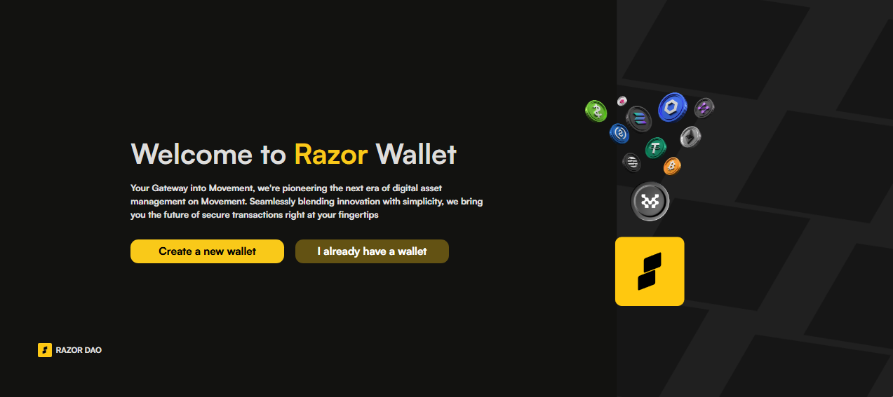 Create a New Wallet
